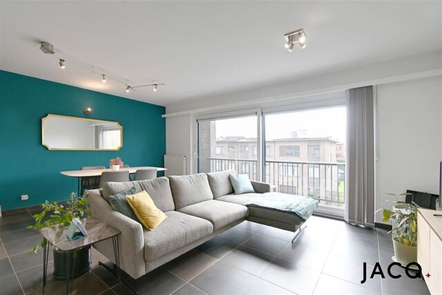 Lichtrijk appartement met 2 slaapkamers te Hoboken!